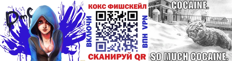 COCAIN Эквадор  купить наркотик  Хилок 