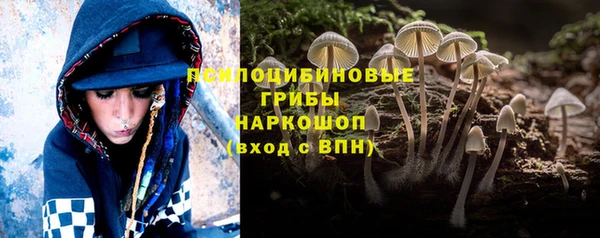спиды Абинск