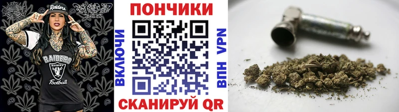Каннабис OG Kush  Хилок 